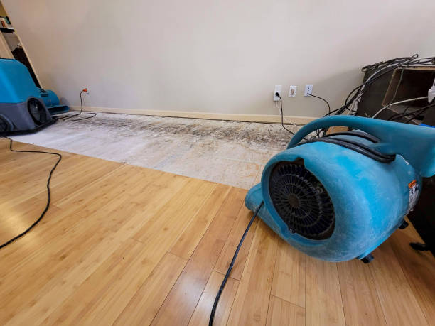 Professional Basement Flood Cleanup technician working in Winfield, KS